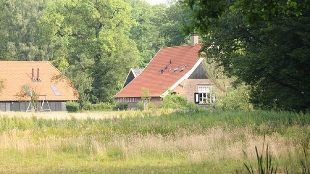 Dubbelinks Havezathe, Ambt Delden